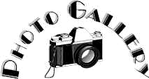 Photo Gallery